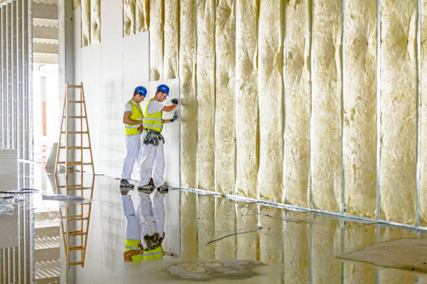 Best Geographic-Specific Insulation Services in Cottonwood, CA